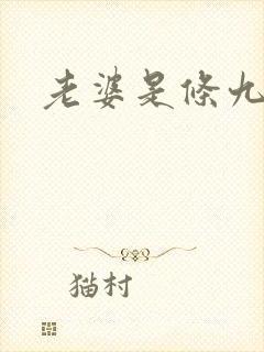 老婆是条九尾狐