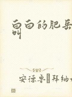 白白的肥岳嗷嗷叫