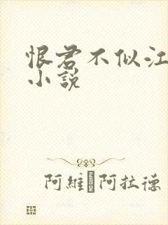 恨君不似江楼月小说