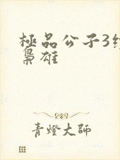 极品公子3续世枭雄