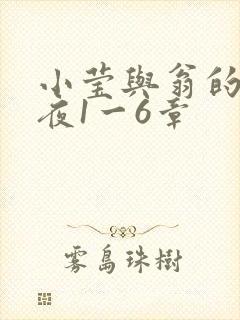 小莹与翁的销魂夜1一6章