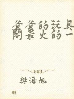 爸爸的玩具笔趣阁最火的一句