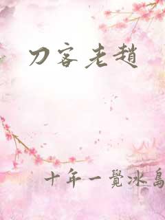 刀客老赵