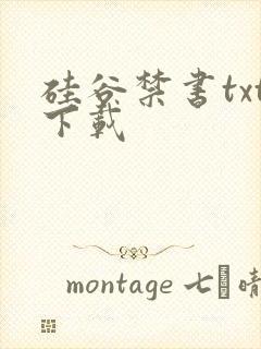 硅谷禁书txt下载