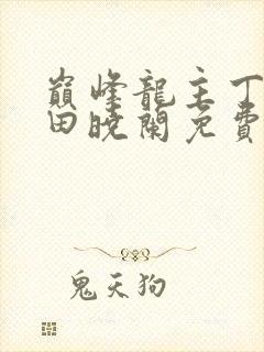 巅峰龙主丁长顺田晓兰免费阅读