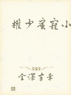 权少蜜宠小娇妻