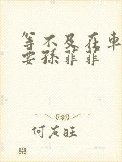 等不及在车里就要孙菲菲