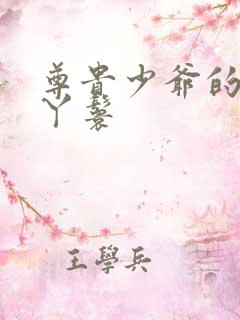 尊贵少爷的大牌丫鬟