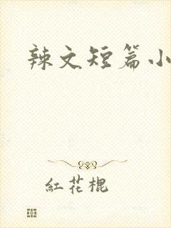 辣文短篇小说