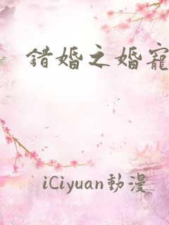 错婚之婚宠一世