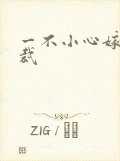 一不小心嫁给总裁