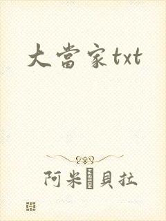 大当家txt