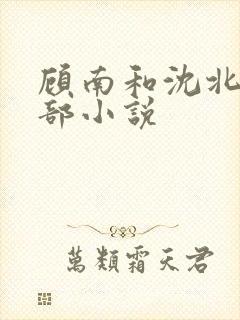 顾南和沈北是哪部小说