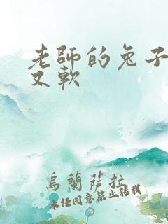 老师的兔子又大又软