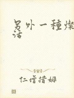 另外一种灿烂生活