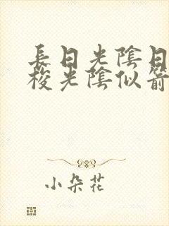 长日光阴日月如梭光阴似箭