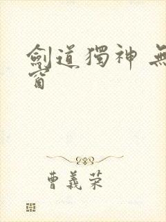 剑道独神 无弹窗