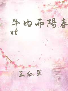 牛肉面阳春面txt