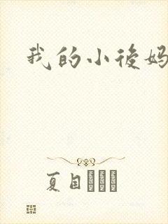 我的小后妈小说