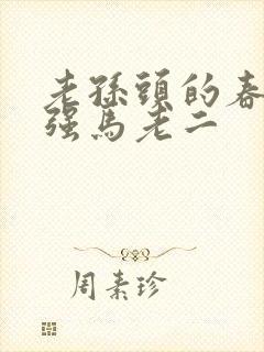 老孙头的春天马强马老二