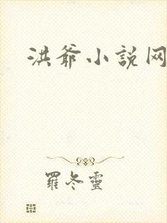 洪爷小说网