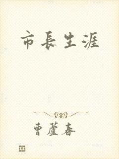 市长生涯