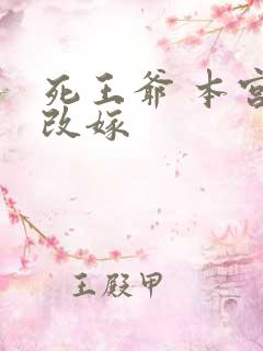 死王爷 本宫已改嫁