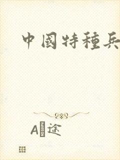 中国特种兵小说