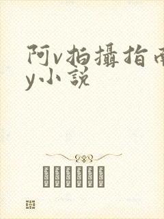 阿v拍摄指南by小说