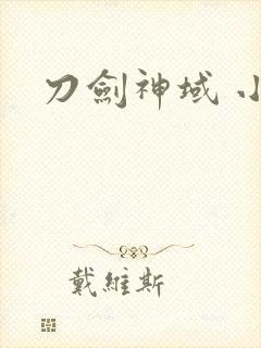 刀剑神域 小说
