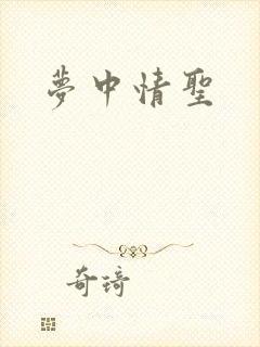梦中情圣