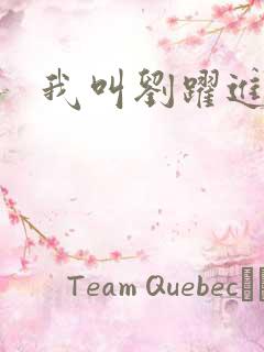 我叫刘跃进下载