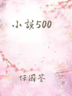 小说500