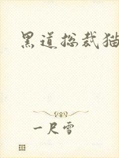 黑道总裁猫咪妻