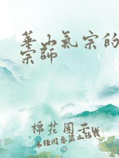 华山气宗的形意宗师