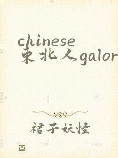 chinese东北人galore