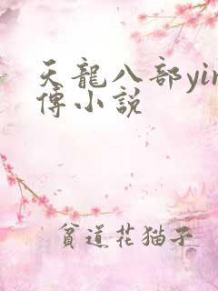 天龙八部yin传小说