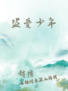 盗爱少年