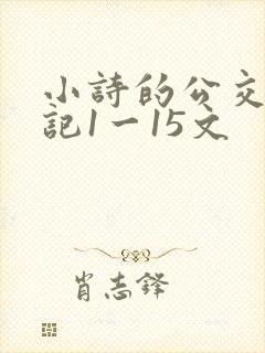小诗的公交车日记1一15文