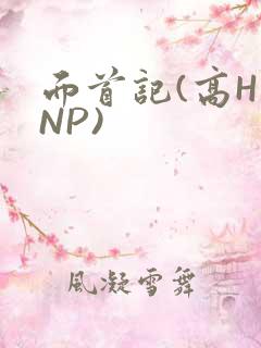 面首记(高H NP)