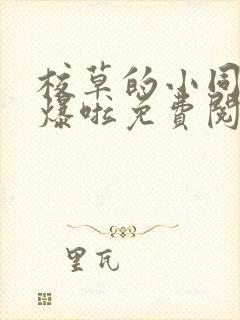 校草的小同桌撩爆啦免费阅读