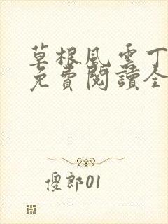 草根风云丁长生免费阅读全本