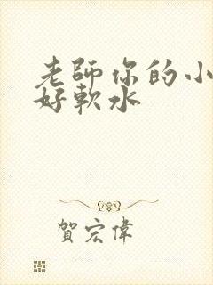 老师你的小兔子好软水