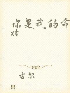 你是我的命运txt