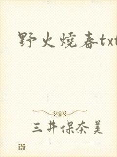 野火烧春txt