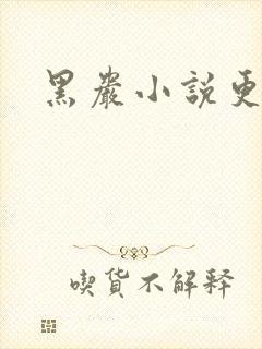 黑岩小说更新吧
