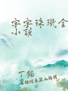 字字珠玑金银花小说