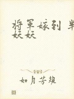 将军嫁到 半袖妖妖