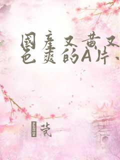 国产又黄又大又色爽的A片小说