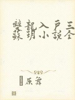 双龙入户三人行苏玥小说全文阅读